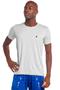 Imagem de Camiseta Masculina Pw Sports Lisa Polo Wear Cinza Claro