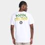 Imagem de Camiseta NBA Boston Celtics Spray Color Masculina