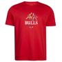 Imagem de Camiseta New Era NBA Chicago Bulls Freestyle