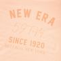 Imagem de Camiseta New Era Regular Branded Color in Color