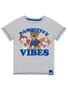 Imagem de Camiseta Paw Patrol Boys Summer Clothes Grey 2T