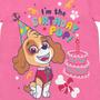 Imagem de Camiseta Paw Patrol Skye - Aniversário - Rosa - Tamanho 5T