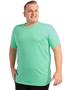 Imagem de Camiseta Plus Size Masculina Anistia Algodão Estampa Califórnia Menta