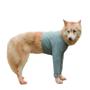 Imagem de Camiseta Protetora Pós Cirúrgica Com Proteção Solar Para Cachorro Membros Anteriores Pernas dianteiras - Dry Fit Proteção UV 50+