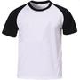 Imagem de Camiseta Raglan Signo de Aries placa de luxo