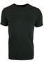 Imagem de Camiseta Replay Masculina Big Logo Institutional Chumbo