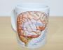 Imagem de Caneca Xícara Medicina Cérebro Neuro  com caixinha de presente