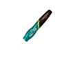 Imagem de Caneta Hot Pen Menta Hot Flowers