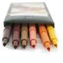 Imagem de Canetas Pitt Faber-Castell Terra - Estojo com 6 Canetas com Ponta Pincel B - Ref 167106N