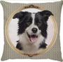 Imagem de Capa Almofada Cachorro Border Collie Dog Oxford Colors