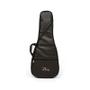 Imagem de Capa Cavaco Avs Bic003Ex Execultive