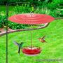 Imagem de Capa de cúpula vermelha Bird Feeder Rain Guard de 11,2 poleg