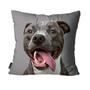 Imagem de Capa para Almofada Mdecore Pit Bull Cinza 45X45