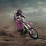 Imagem de Capacete de motocross SanQing Youth Kids Trend Full Face Pink S