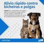 Imagem de Capstar 11,4mg: para cães e gatos de até 11,4 kg 6 comprimidos