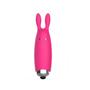 Imagem de Capsula Vibratoria Funny Meame Sex Toy