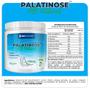 Imagem de Carboidrato palatinose 300g new nutrition