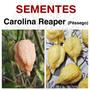 Imagem de Carolina reaper (Pêssego) - 15 sementes