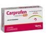 Imagem de CARPROFEN 100mg - Vansil