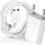 Imagem de Carregador Completo  5W USB e cabo lightning 1m Compativel com Iphone-6-6s-7-8-Plus-11-12-XS-Max-X-XR-5S