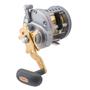 Imagem de Carretilha de Pesca Daiwa Saltist LW 50HA Recolhimento 6.4:1 Drag 20kg