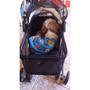 Imagem de Carrinho Cachorro Cao Gato Pet Passeio Ar Livre Animal de Estimaçao Transporte Dobravel Caminhada Lazer Shopping Restaurante Seguro Confortavel