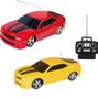 Imagem de Carro com Controle Remoto Tiger 1:24  - 7 Funções - Modelos Sortidos - Wellkids -