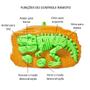 Imagem de Carro de Controle Maluco Recarregável com Luz T-Rex Infantil Controle Remoto Altas Aventuras