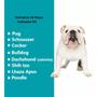 Imagem de Casa Para Cachorrinhos Dog Home N4 Resistente Pet Rosa