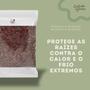 Imagem de Casca de Arroz Carbonizado 20Lts para Substrato, Drenagem, Suculentas, Cactos, Hortas e Jardinagem