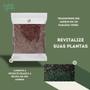 Imagem de Casca de Arroz Carbonizado 20Lts para Substrato, Drenagem, Suculentas, Cactos, Hortas e Jardinagem