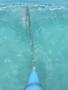 Imagem de Cascata Golfinho em fibra para piscina na cor Azul