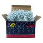 Imagem de Cascata Natal Pisca 8 Funções 400 Leds 9,5m Branco Frio Bivolt Uso Externo 14726-PL
