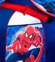 Imagem de Casinha Barraca Infantil Portátil Dobrável Cabana Teto Removível Spider Homem Aranha Zippy Toys