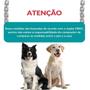 Imagem de CASINHA Nº4 PARA CACHORROS PETS CÃES DIVERSAS CORES ANTI UV ALVORADA 