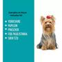 Imagem de Casinha P/ Cachorrinhos Dog Home N2 Resistente Pet Azul