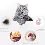 Imagem de Cat Chew Toy HomeDoremi King Size Silvervine, pacotes com 5