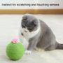 Imagem de Cat Scratcher Ball ASPIRINGPET Roly-Poly Cactus com erva-dos-gatos