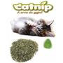 Imagem de Catnip - Erva dos Gatos Desidratada Petlon