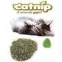 Imagem de Catnip Kit Com 03 Caixinhas de Erva dos Gatos Desidratada Petlon