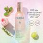 Imagem de Caudalie Beauty Elixir Face Mist: Toner Que Aperta os Poros + Reduz o Embotamento + Define maquiagem, Tamanho da Viagem