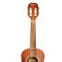 Imagem de Cavaco Elétrico Terra Mahogany Com Capa Cavaquinho Tcv 02