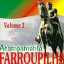 Imagem de Cd - Acampamento Farroupilha - Volume 2