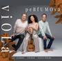 Imagem de CD Ceumar, Paulo Freire e Luiz Coimbra - Viola Perfusmosa