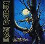Imagem de CD  Iron Maiden  Fear Of The Dark (Acrílico)