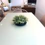 Imagem de Centro de mesa cerâmica preto com picks de eucaliptos verdinhos 23ax35l/cm