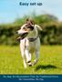 Imagem de Cerca Eletrônica Sem Fio para Cães DOGOITM com GPS e IA Inteligente