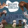 Imagem de Cercado Canil Para Cachorro Desmontável Grade Pet 60x60 8 Peças Arame Galvanizado Retrátil Para Contenção de Animais de 