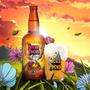 Imagem de Cerveja Hocus Pocus Orange Sunshine 500ml