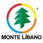 Imagem de Cesto De Roupa 30 Litros Organizador Lavanderia E Banheiro - Monte Libano
